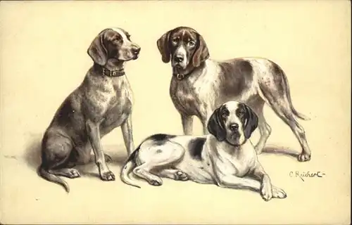 Hunde Kuenstler C. Reichert / Tiere /