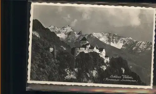 Vaduz Schloss  / Vaduz /