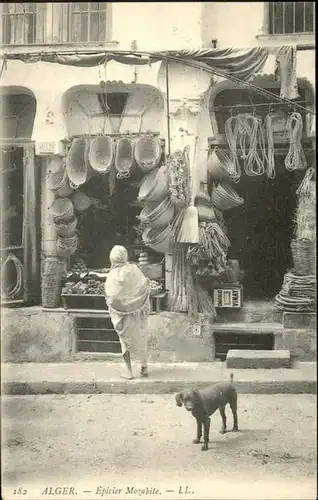 Alger Algerien Hund / Algier Algerien /