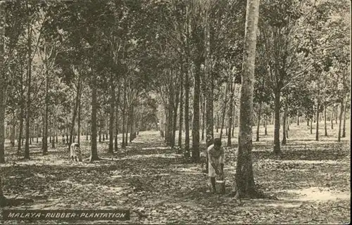Malaya Rubber Plantation / Niederlande /