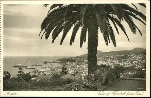 Madeira Funchal from East / Portugal /