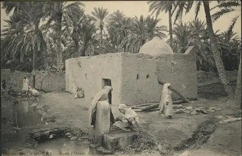 Biskra Oasis / Algerien /