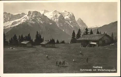 Hasliberg Gummenalp Wetterhorngruppe Kuehe / Meiringen /Bz. Oberhasli