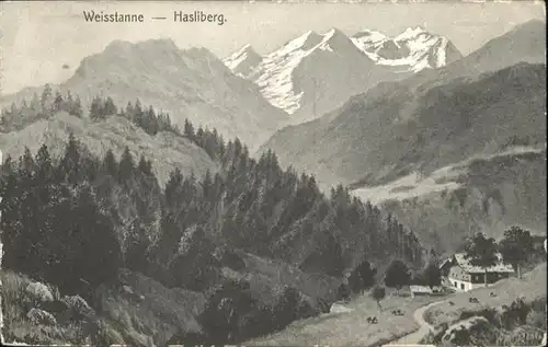 Hasliberg Weisstanne / Meiringen /Bz. Oberhasli