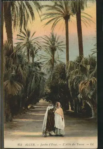 Alger Algerien Jardin d&#180;Essai L`Allee des Yuccas / Algier Algerien /