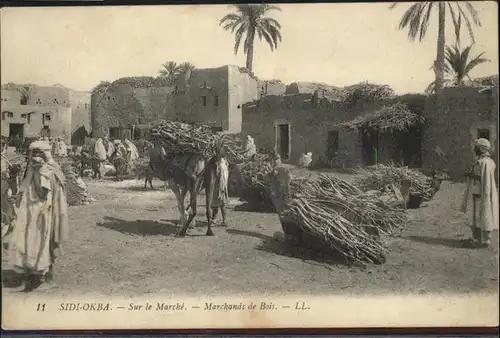 Sidi Okba Sur le Marche Marchands de Bois Holz Kamele / Algerien /