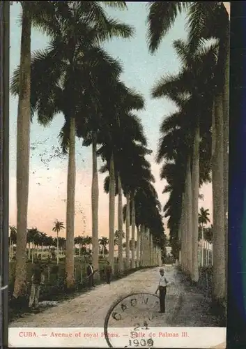 Cuba Cuba Avenue royal Palms / Kuba /