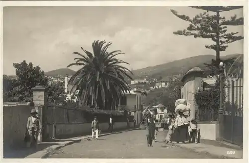 Madeira Funchal / Portugal /