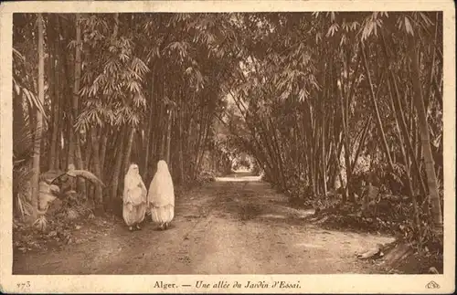 Alger Algerien Jardin Essai / Algier Algerien /