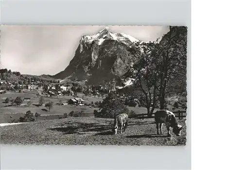 Grindelwald Wetterhorn / Grindelwald /Bz. Interlaken