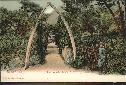 Gibraltar Whale Jaws Arch / Gibraltar /