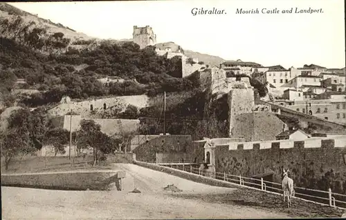 Gibraltar Moorish Castle Landport Esel / Gibraltar /