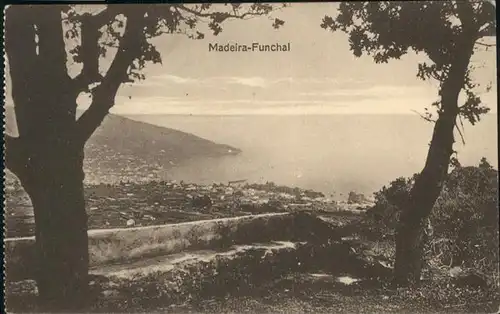 Madeira Funchal  / Portugal /