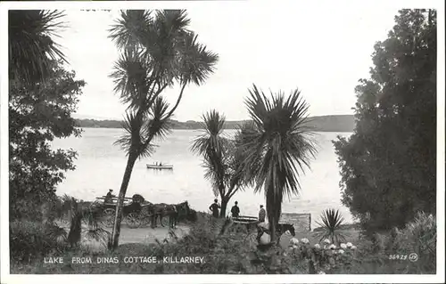 Killarney Kerry Lake from Dinas Cottage Schiff  / Killarney /