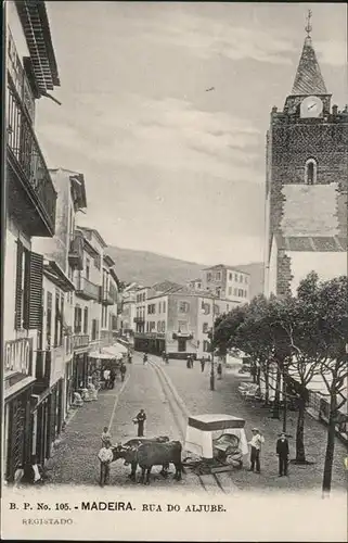 Madeira Rua do Aljube Ochse / Portugal /