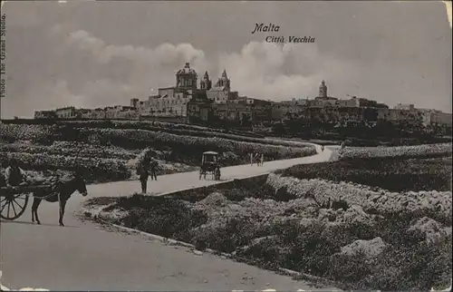 Malta Citta Vecchia Esel / Malta /