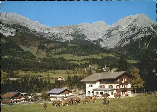 Scheffau Wilden Kaiser Gasthof Alpenblick / Scheffau am Wilden Kaiser /Tiroler Unterland