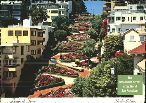 San Francisco California Lombard Street / San Francisco /