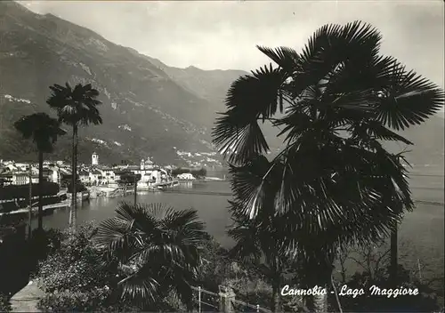 Cannobio Lago Maggiore Panorama / Italien /