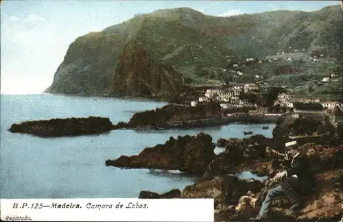 Madeira Camara de Lobos  / Portugal /