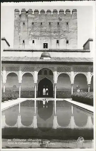 Granada Andalucia Toree de Cosmares  / Granada /