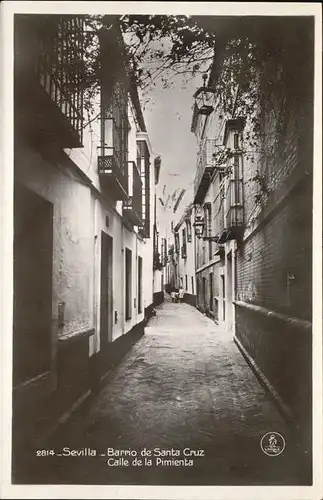 Sevilla Andalucia Barrio de Santa Cruz Calle de la Pimienta / Sevilla  /