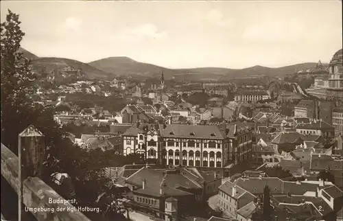 Budapest Teilansicht koenigl. Hofburg / Budapest /