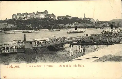 Budapest Burg Donau Dampfer / Budapest /