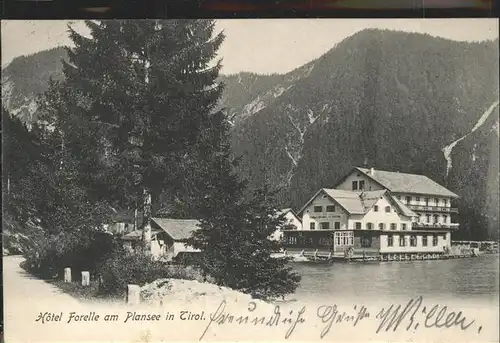 Plansee Hotel Forelle / Breitenwang /Ausserfern