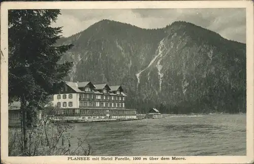 Plansee Hotel Forelle / Breitenwang /Ausserfern