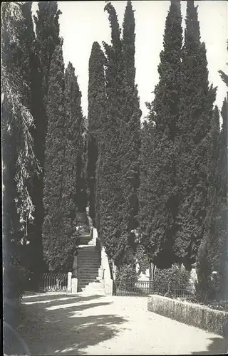 Abbazia Istrien 1909 
Park / Seebad Kvarner Bucht /Primorje Gorski kotar