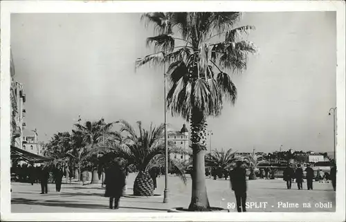 Gradac Palme na obali / Kroatien /