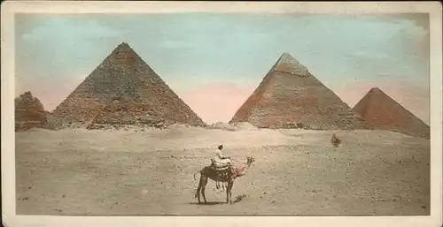 Cairo Egypt Pyramide Kamel / Cairo /
