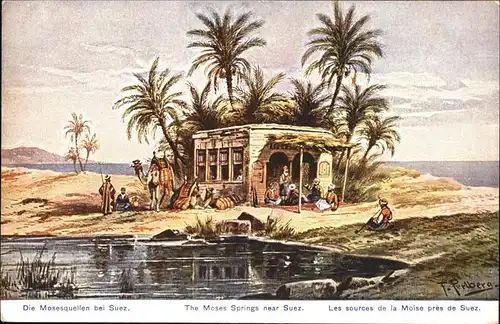 Suez Mosesquellen Kuenstler F Perlberg Kamel / Aegypten /