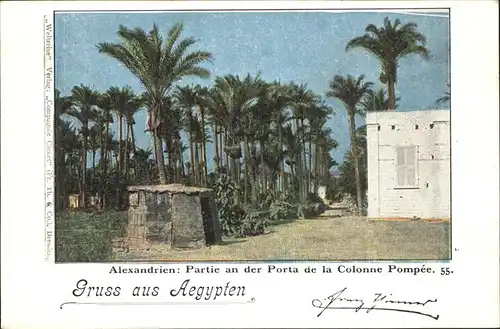 Alexandrie Alexandria Porta de la Colonne Pompee / Aegypten /