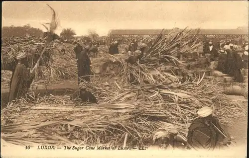 Luxor Qina Sugar Cane Market  / Luxor /