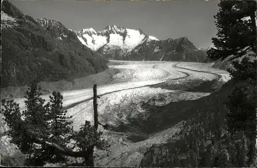 Aletschgletscher Aletschwald / Aletsch, Grosser /Rg. Rhone