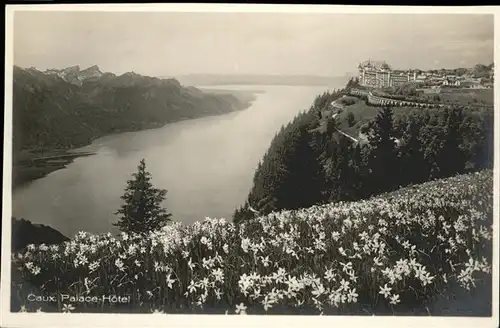 Caux VD Palace-Hotel / Caux /Bz. Vevey