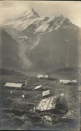 Grindelwald Alp Bachlaeger Waldspitz / Grindelwald /Bz. Interlaken