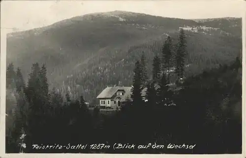 Feistritz-Sattel  / Oesterreich /