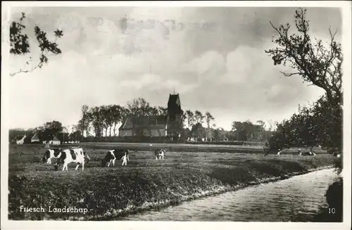 Haarlem friesch Landschap Kuehe / Haarlem /