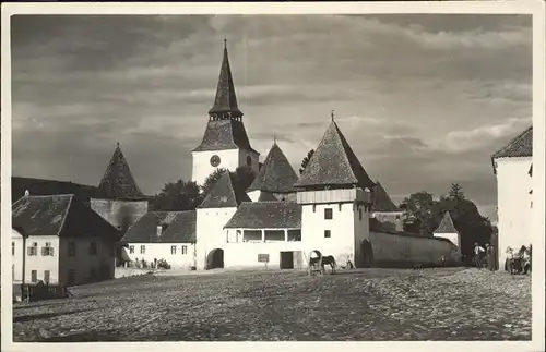 Sibiu Pferd / Rumaenien /Rumaenien