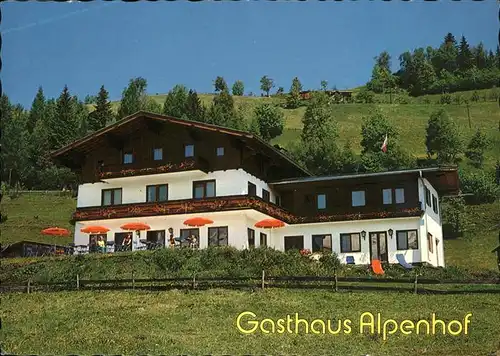 Mittersill Gasthaus Alpenhof /  /