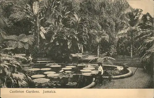 Jamaica Jamaica Castleton Gardens, Seerosenteich / Jamaika /