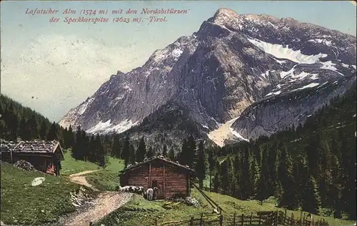 Lafatscherjoch Speckkarspitze / Oesterreich /