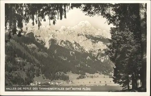 Naesselwaengle Haller Tannheimertales / Reutte Tirol /