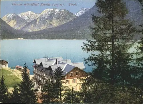 Plansee Hotel Forelle / Breitenwang /Ausserfern