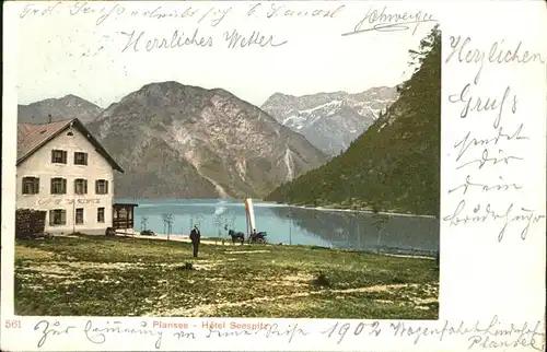 Plansee Hotel Seespitz Kutsche / Breitenwang /Ausserfern