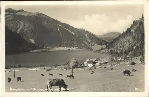 Haldensee Alpengasthof Kuehe / Oesterreich /