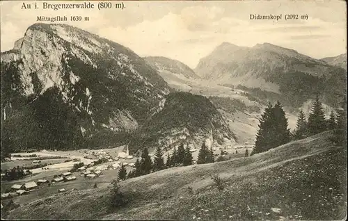 Au Vorarlberg Mittagsfluh Didamskopf / Au /Bludenz-Bregenzer Wald